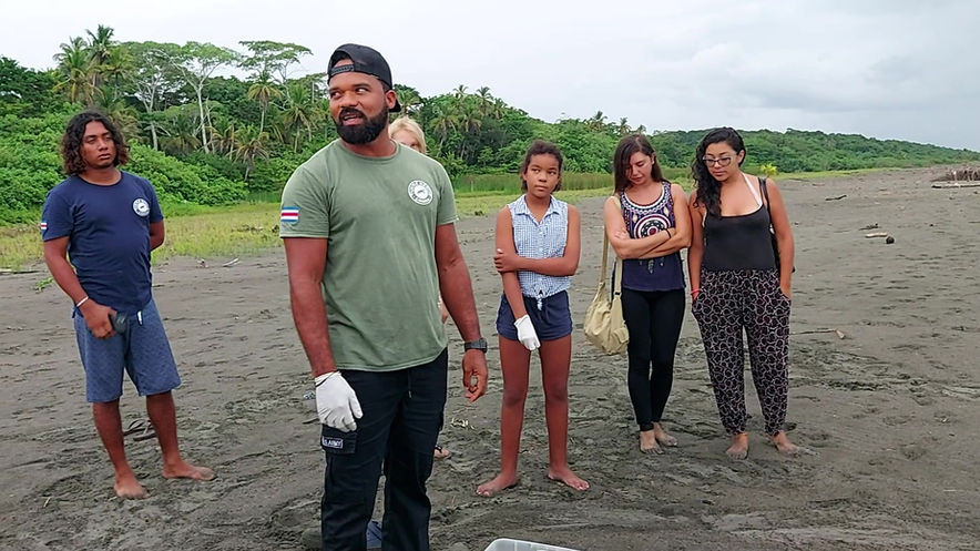 Erste Schildkröten Babys